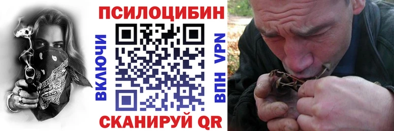 omg как войти Долинск Галлюциногенные грибы мухоморы